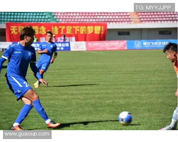 丽江飞虎迎战保定队期待精彩对决与球迷激情共鸣