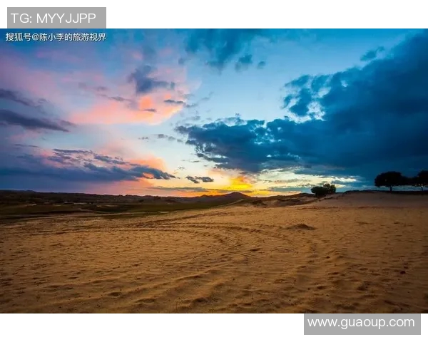 探寻布莱克尼的魅力与神秘揭示其背后的历史与文化之旅